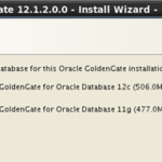 Installing Oracle GoldenGate 12c (12.1.2) along side Oracle Database 12c (12.1.0.1)