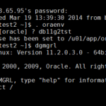 Oracle Data Guard Switchover via DGMGRL vs. #em12c