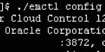 Adding internal targets to #em12c agents manually