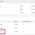 Upgrading GoldenGate Microservices Architecture – GUI Based