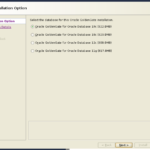 Installing Oracle GoldenGate Microservices – Part 1 of 2