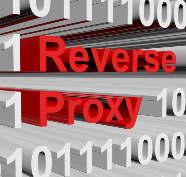 nginx reverse proxy goldengate