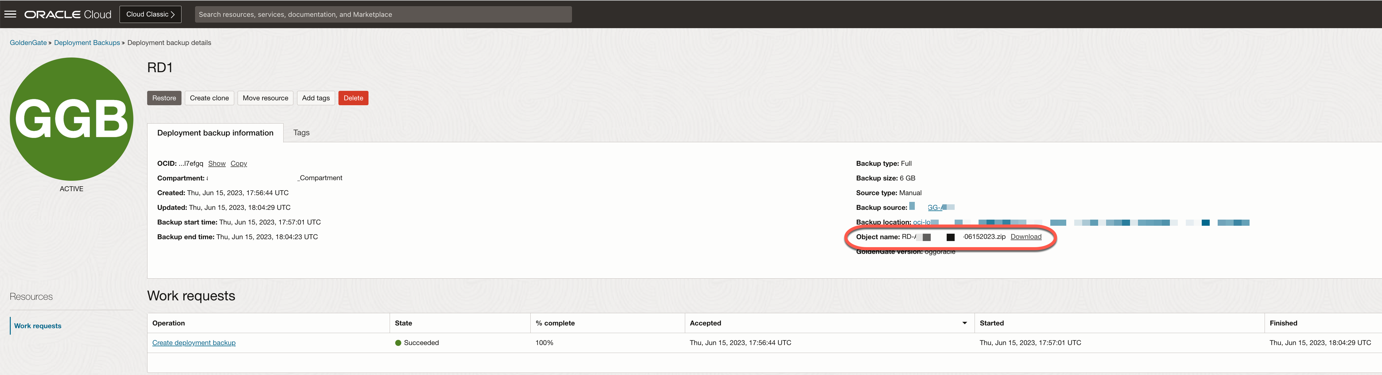 oci ggs manual backup details